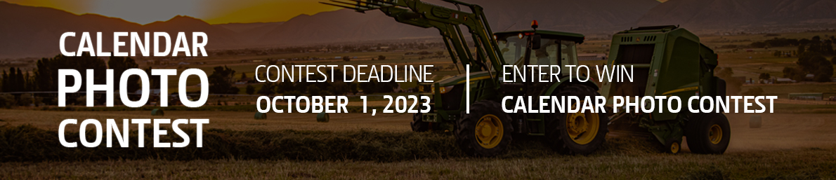 2023 Calendar Contest