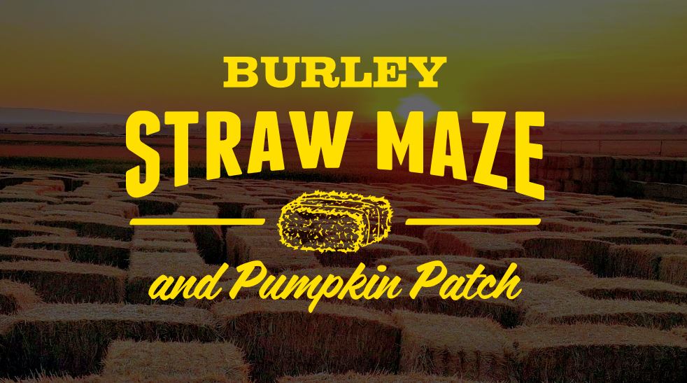 Burley Straw Maze Site